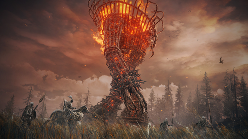 ELDEN RING  +  Shadow of the Erdtree Edition