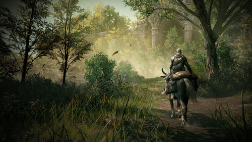 ELDEN RING  +  Shadow of the Erdtree Edition