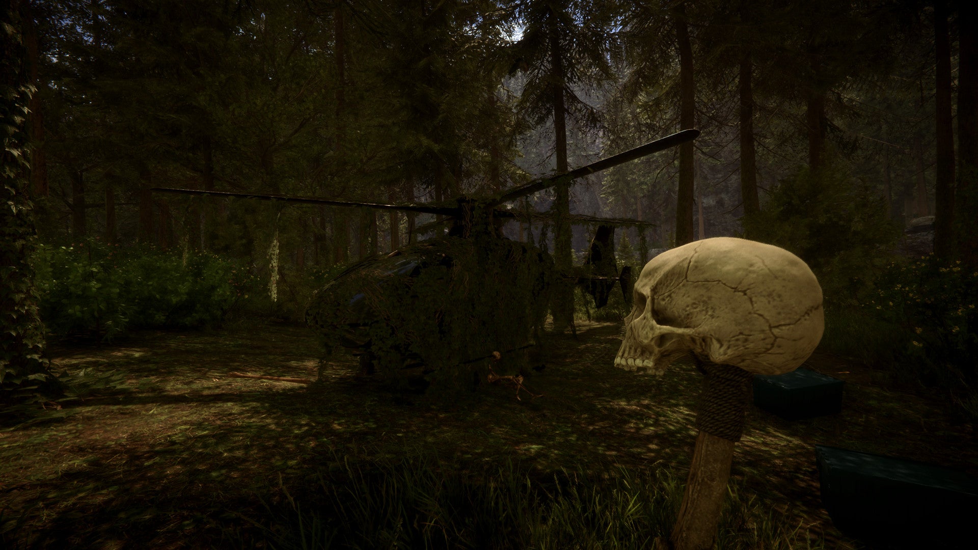 Sons of The forest