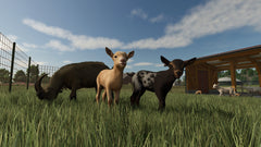 Farming Simulator 25 - Year 1 Bundle